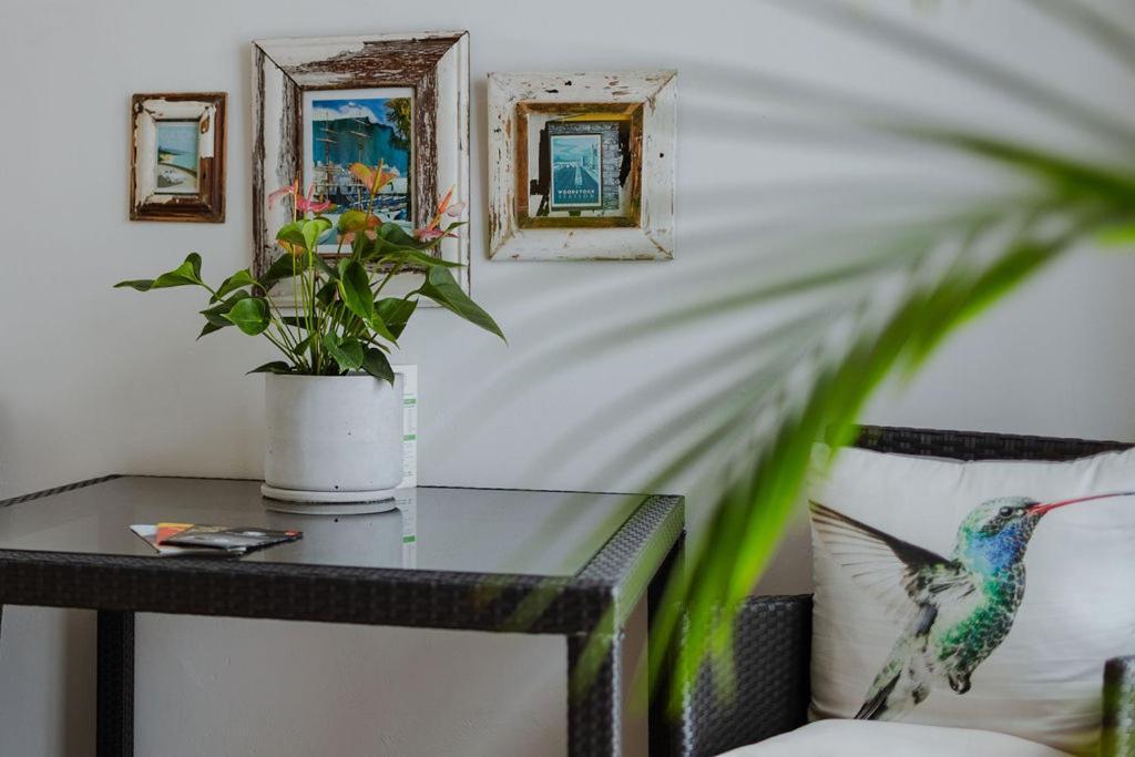 Radium Hall Guest House Κέιπ Τάουν Εξωτερικό φωτογραφία
